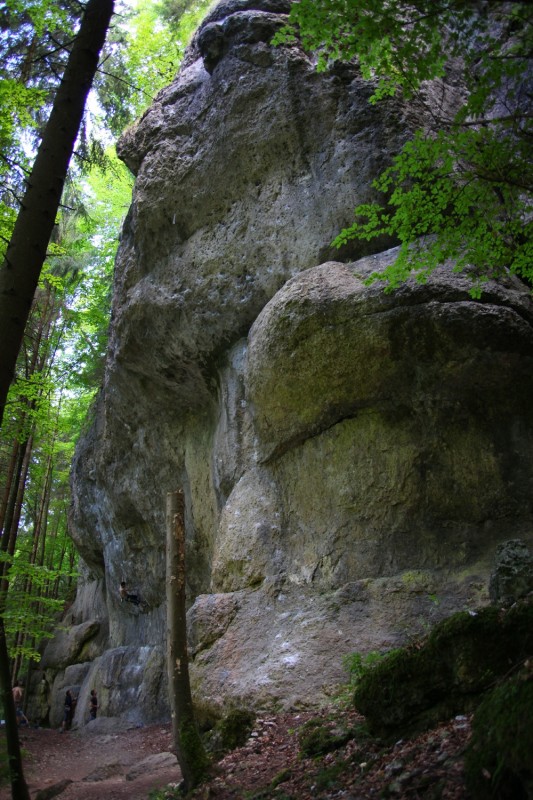 Felsfoto: Trockauer Wand und 690 weitere Felsen im Klettergebiet Fränkische Schweiz (Frankenjura) ➤ Routen mit Schwierigkeitsgraden f&uuml;r den Fels Trockauer Wand ➤ Klettertopo & Kletterf&uuml;hrer ➤ 19.05.2026