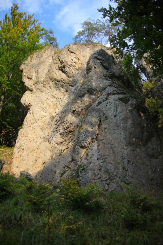 Felsfoto: Oeder Wand & Brosinnadel und 690 weitere Felsen im Klettergebiet Fränkische Schweiz (Frankenjura) ➤ Routen mit Schwierigkeitsgraden f&uuml;r den Fels Oeder Wand & Brosinnadel ➤ Klettertopo & Kletterf&uuml;hrer ➤ 19.05.2026