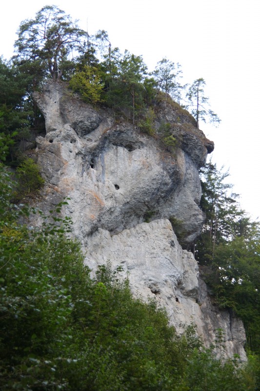Felsfoto: Wolkensteiner Wand und 690 weitere Felsen im Klettergebiet Fränkische Schweiz (Frankenjura) ➤ Routen mit Schwierigkeitsgraden f&uuml;r den Fels Wolkensteiner Wand ➤ Klettertopo & Kletterf&uuml;hrer ➤ 19.05.2026