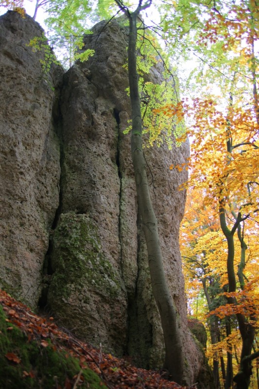 Felsfoto: Nussbergwand und 690 weitere Felsen im Klettergebiet Fränkische Schweiz (Frankenjura) ➤ Routen mit Schwierigkeitsgraden f&uuml;r den Fels Nussbergwand ➤ Klettertopo & Kletterf&uuml;hrer ➤ 19.05.2026