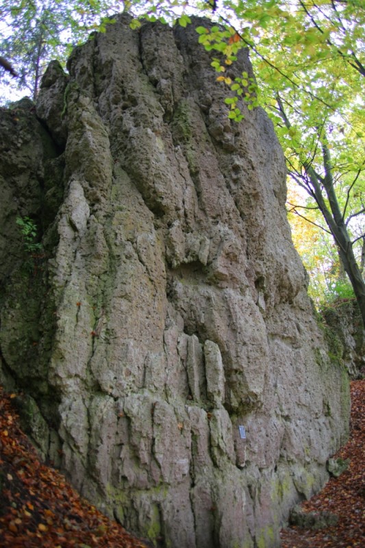 Felsfoto: Rigalshofer Wand & zur Liegenschaft und 690 weitere Felsen im Klettergebiet Fränkische Schweiz (Frankenjura) ➤ Routen mit Schwierigkeitsgraden f&uuml;r den Fels Rigalshofer Wand & zur Liegenschaft ➤ Klettertopo & Kletterf&uuml;hrer ➤ 19.05.2026