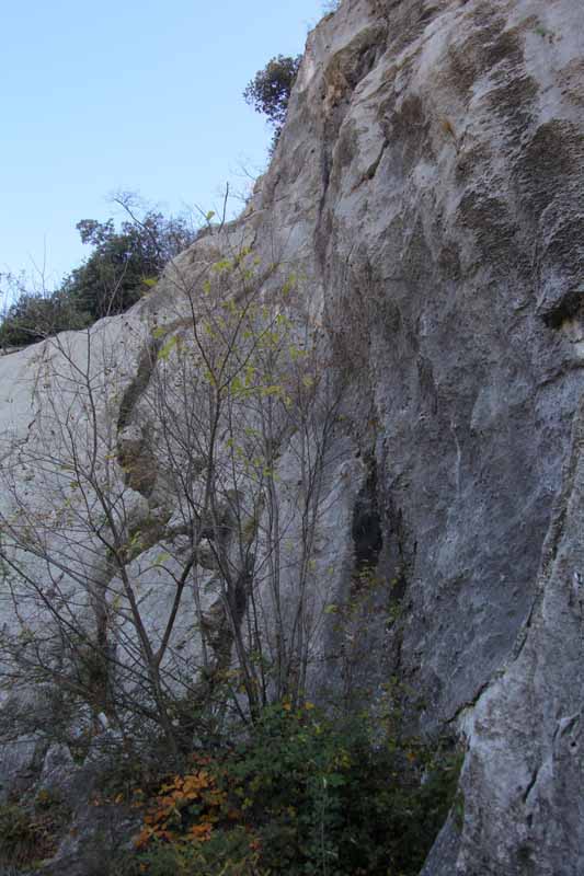 Felsfoto: Muro Dell Asino und 148 weitere Felsen im Klettergebiet Arco (Gardasee) ➤ Routen mit Schwierigkeitsgraden f&uuml;r den Fels Muro Dell Asino ➤ Klettertopo & Kletterf&uuml;hrer ➤ 21.05.2026