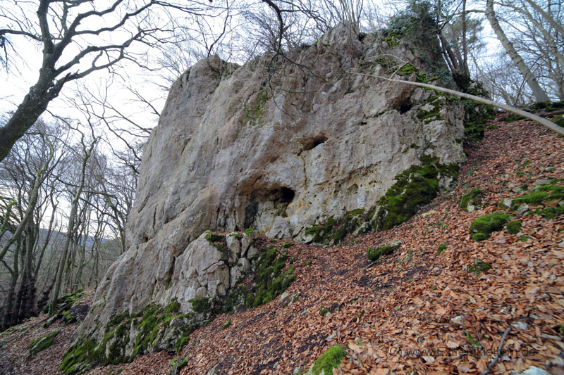 Felsfoto: Pinwandl und 45 weitere Felsen im Klettergebiet Konstein (Südliches Frankenjura) ➤ Routen mit Schwierigkeitsgraden f&uuml;r den Fels Pinwandl ➤ Klettertopo & Kletterf&uuml;hrer ➤ 19.05.2026