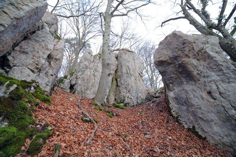 Felsfoto: Backenzahn und 45 weitere Felsen im Klettergebiet Konstein (Südliches Frankenjura) ➤ Routen mit Schwierigkeitsgraden f&uuml;r den Fels Backenzahn ➤ Klettertopo & Kletterf&uuml;hrer ➤ 19.05.2026