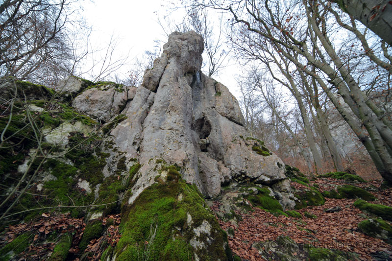 Felsfoto: Zahn und 45 weitere Felsen im Klettergebiet Konstein (Südliches Frankenjura) ➤ Routen mit Schwierigkeitsgraden f&uuml;r den Fels Zahn ➤ Klettertopo & Kletterf&uuml;hrer ➤ 19.05.2026