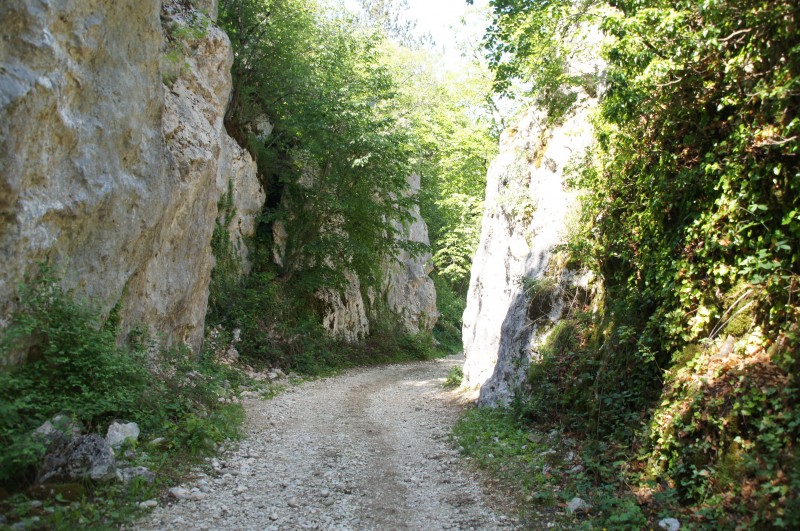 Felsfoto: Cepic und 19 weitere Felsen im Klettergebiet Rijeka ➤ Routen mit Schwierigkeitsgraden f&uuml;r den Fels Cepic ➤ Klettertopo & Kletterf&uuml;hrer ➤ 30.08.2026