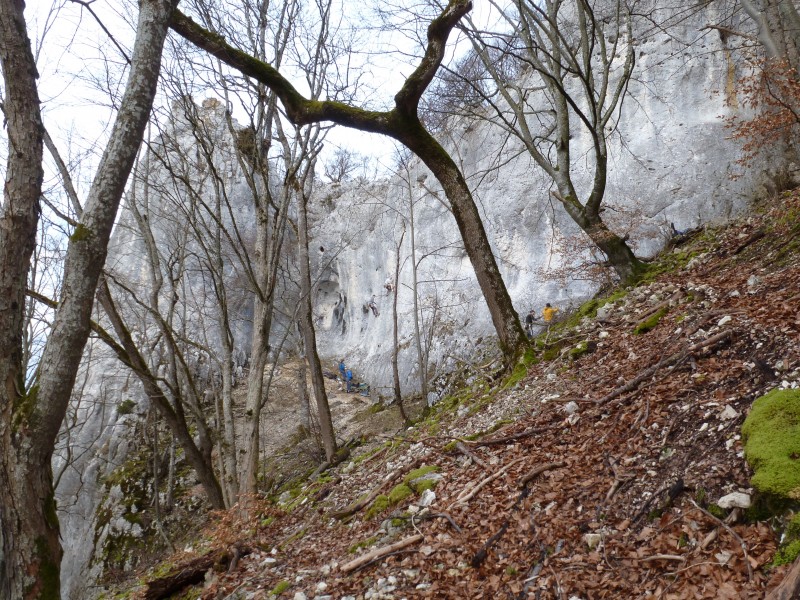 Felsfoto: Löchlesfels und 37 weitere Felsen im Klettergebiet Donautal ➤ Routen mit Schwierigkeitsgraden f&uuml;r den Fels Löchlesfels ➤ Klettertopo & Kletterf&uuml;hrer ➤ 21.05.2026