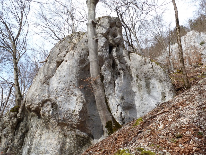 Felsfoto: Piccolo und 37 weitere Felsen im Klettergebiet Donautal ➤ Routen mit Schwierigkeitsgraden f&uuml;r den Fels Piccolo ➤ Klettertopo & Kletterf&uuml;hrer ➤ 21.05.2026