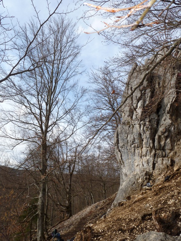 Felsfoto: Naturparkfels und 37 weitere Felsen im Klettergebiet Donautal ➤ Routen mit Schwierigkeitsgraden f&uuml;r den Fels Naturparkfels ➤ Klettertopo & Kletterf&uuml;hrer ➤ 21.05.2026