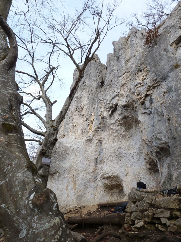 Felsfoto: Verlobungsfels und 37 weitere Felsen im Klettergebiet Donautal ➤ Routen mit Schwierigkeitsgraden f&uuml;r den Fels Verlobungsfels ➤ Klettertopo & Kletterf&uuml;hrer ➤ 21.05.2026