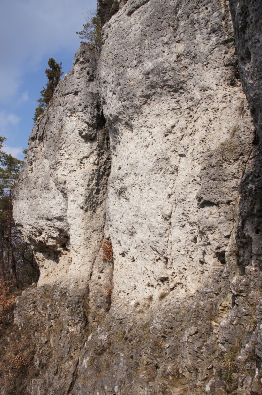 Felsfoto: Weiße Wand und 692 weitere Felsen im Klettergebiet Fränkische Schweiz (Frankenjura) ➤ Routen mit Schwierigkeitsgraden f&uuml;r den Fels Weiße Wand ➤ Klettertopo & Kletterf&uuml;hrer ➤ 31.08.2026