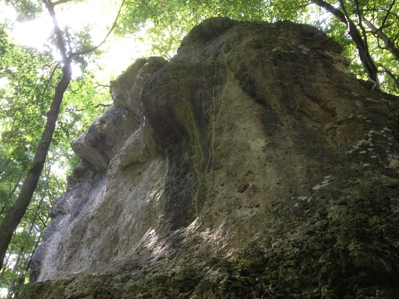 Felsfoto: Tanzboden und 690 weitere Felsen im Klettergebiet Fränkische Schweiz (Frankenjura) ➤ Routen mit Schwierigkeitsgraden f&uuml;r den Fels Tanzboden ➤ Klettertopo & Kletterf&uuml;hrer ➤ 19.05.2026