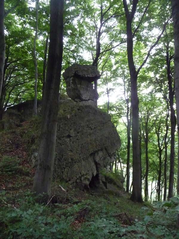 Felsfoto: Pilzstein und 120 weitere Felsen im Klettergebiet Weser-Leine-Bergland (Ith) ➤ Routen mit Schwierigkeitsgraden f&uuml;r den Fels Pilzstein ➤ Klettertopo & Kletterf&uuml;hrer ➤ 26.05.2026