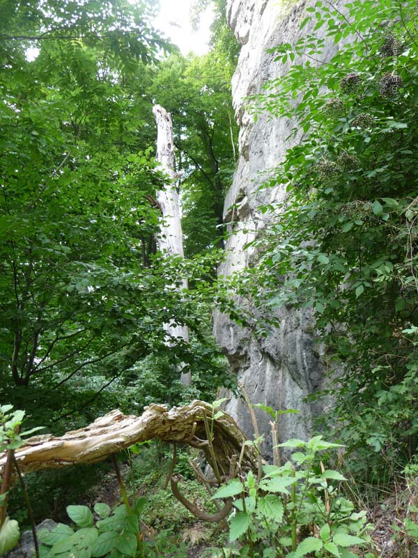 Felsfoto: Verschneidungswand und 120 weitere Felsen im Klettergebiet Weser-Leine-Bergland (Ith) ➤ Routen mit Schwierigkeitsgraden f&uuml;r den Fels Verschneidungswand ➤ Klettertopo & Kletterf&uuml;hrer ➤ 26.05.2026