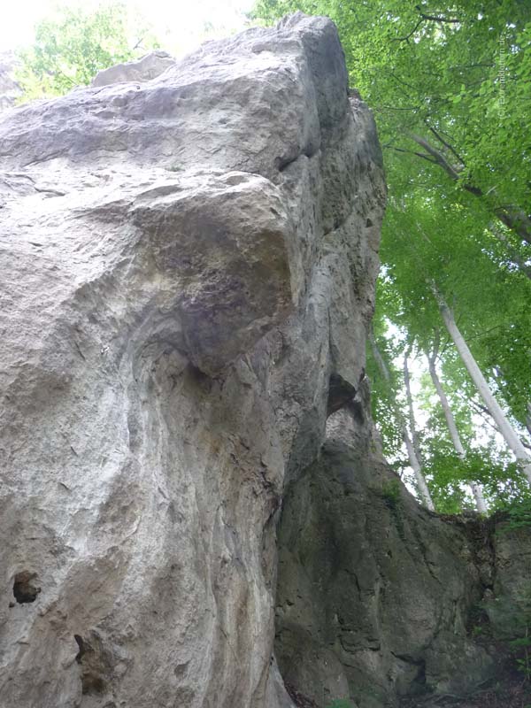 Felsfoto: Drachenwand und 120 weitere Felsen im Klettergebiet Weser-Leine-Bergland (Ith) ➤ Routen mit Schwierigkeitsgraden f&uuml;r den Fels Drachenwand ➤ Klettertopo & Kletterf&uuml;hrer ➤ 26.05.2026