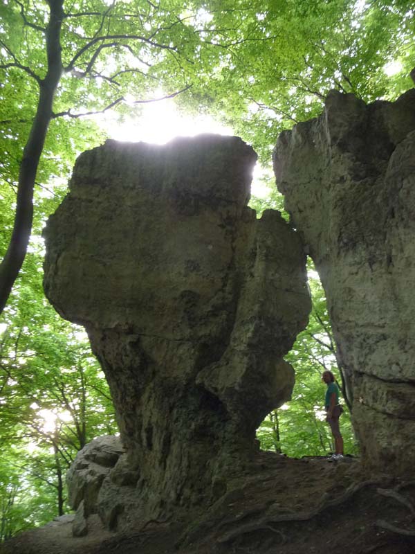 Felsfoto: Lüerdisser Kanzel und 120 weitere Felsen im Klettergebiet Weser-Leine-Bergland (Ith) ➤ Routen mit Schwierigkeitsgraden f&uuml;r den Fels Lüerdisser Kanzel ➤ Klettertopo & Kletterf&uuml;hrer ➤ 26.05.2026