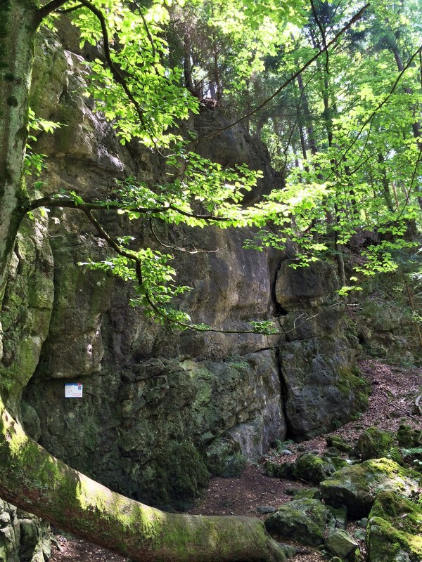 Felsfoto: Flügelwand und 690 weitere Felsen im Klettergebiet Fränkische Schweiz (Frankenjura) ➤ Routen mit Schwierigkeitsgraden f&uuml;r den Fels Flügelwand ➤ Klettertopo & Kletterf&uuml;hrer ➤ 19.05.2026