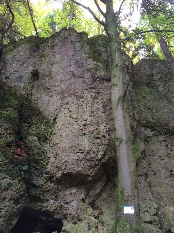Felsfoto: Kalvarienwand und 690 weitere Felsen im Klettergebiet Fränkische Schweiz (Frankenjura) ➤ Routen mit Schwierigkeitsgraden f&uuml;r den Fels Kalvarienwand ➤ Klettertopo & Kletterf&uuml;hrer ➤ 19.05.2026
