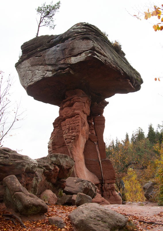 Felsfoto: Teufelstisch und 73 weitere Felsen im Klettergebiet Pfalz ➤ Routen mit Schwierigkeitsgraden f&uuml;r den Fels Teufelstisch ➤ Klettertopo & Kletterf&uuml;hrer ➤ 21.05.2026