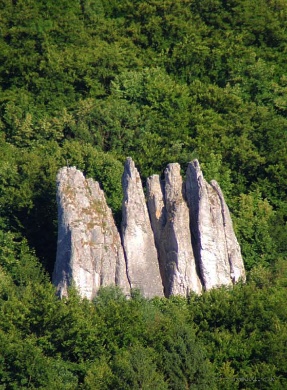 Felsfoto: Riffler und 690 weitere Felsen im Klettergebiet Fränkische Schweiz (Frankenjura) ➤ Routen mit Schwierigkeitsgraden f&uuml;r den Fels Riffler ➤ Klettertopo & Kletterf&uuml;hrer ➤ 19.05.2026