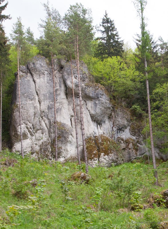 Felsfoto: Schrumpelrisse und 690 weitere Felsen im Klettergebiet Fränkische Schweiz (Frankenjura) ➤ Routen mit Schwierigkeitsgraden f&uuml;r den Fels Schrumpelrisse ➤ Klettertopo & Kletterf&uuml;hrer ➤ 19.05.2026