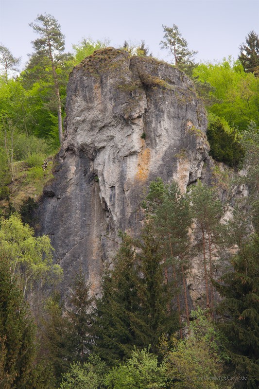 Felsfoto: Dooser Wand und 690 weitere Felsen im Klettergebiet Fränkische Schweiz (Frankenjura) ➤ Routen mit Schwierigkeitsgraden f&uuml;r den Fels Dooser Wand ➤ Klettertopo & Kletterf&uuml;hrer ➤ 19.05.2026