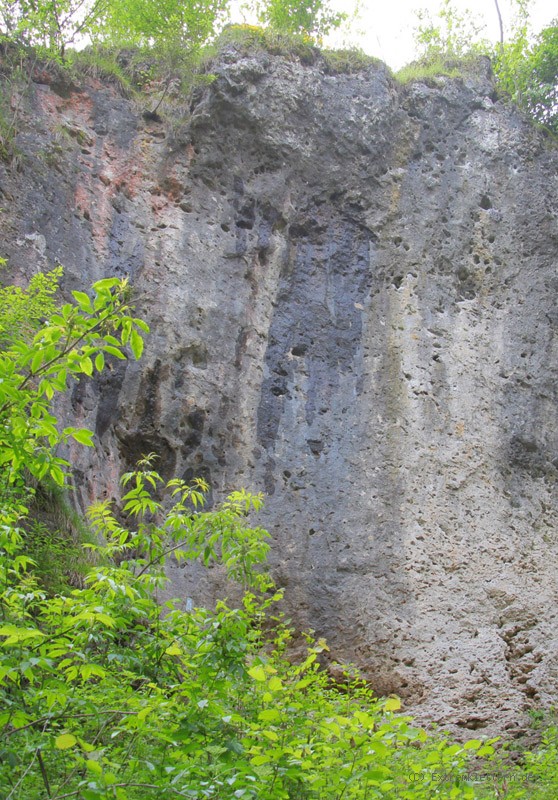 Felsfoto: Herbstwand und 692 weitere Felsen im Klettergebiet Fränkische Schweiz (Frankenjura) ➤ Routen mit Schwierigkeitsgraden f&uuml;r den Fels Herbstwand ➤ Klettertopo & Kletterf&uuml;hrer ➤ 30.08.2026