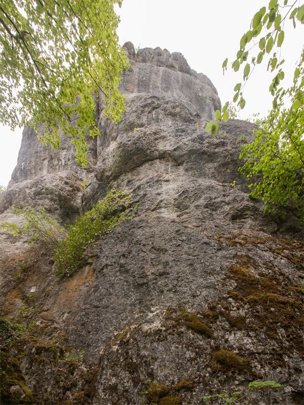 Felsfoto: Delago Gedenkwand und 690 weitere Felsen im Klettergebiet Fränkische Schweiz (Frankenjura) ➤ Routen mit Schwierigkeitsgraden f&uuml;r den Fels Delago Gedenkwand ➤ Klettertopo & Kletterf&uuml;hrer ➤ 19.05.2026