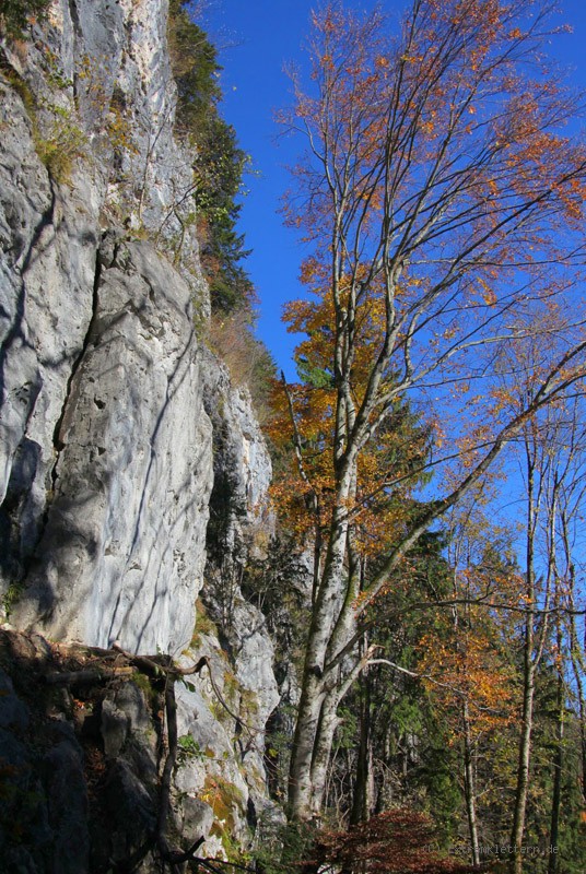 Felsfoto: Zellerwand und 29 weitere Felsen im Klettergebiet Chiemgau & Wendelstein ➤ Routen mit Schwierigkeitsgraden für den Fels Zellerwand ➤ Klettertopo & Kletterführer ➤ 13.06.2026