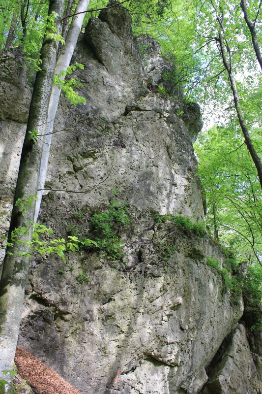 Felsfoto: Morgenleite und 690 weitere Felsen im Klettergebiet Fränkische Schweiz (Frankenjura) ➤ Routen mit Schwierigkeitsgraden f&uuml;r den Fels Morgenleite ➤ Klettertopo & Kletterf&uuml;hrer ➤ 19.05.2026