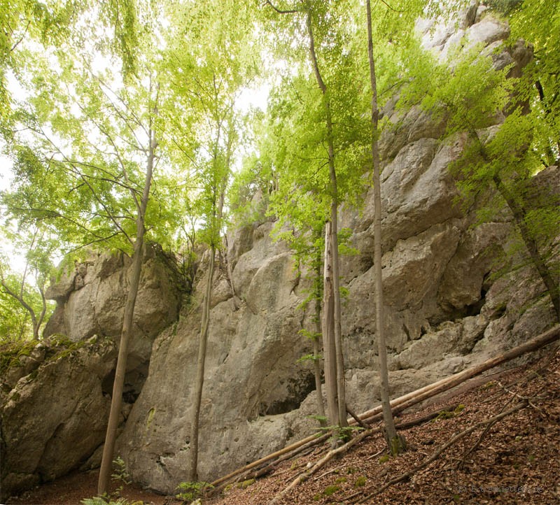 Felsfoto: Mayfels und 41 weitere Felsen im Klettergebiet Altmühltal (Südliches Frankenjura) ➤ Routen mit Schwierigkeitsgraden f&uuml;r den Fels Mayfels ➤ Klettertopo & Kletterf&uuml;hrer ➤ 16.07.2026
