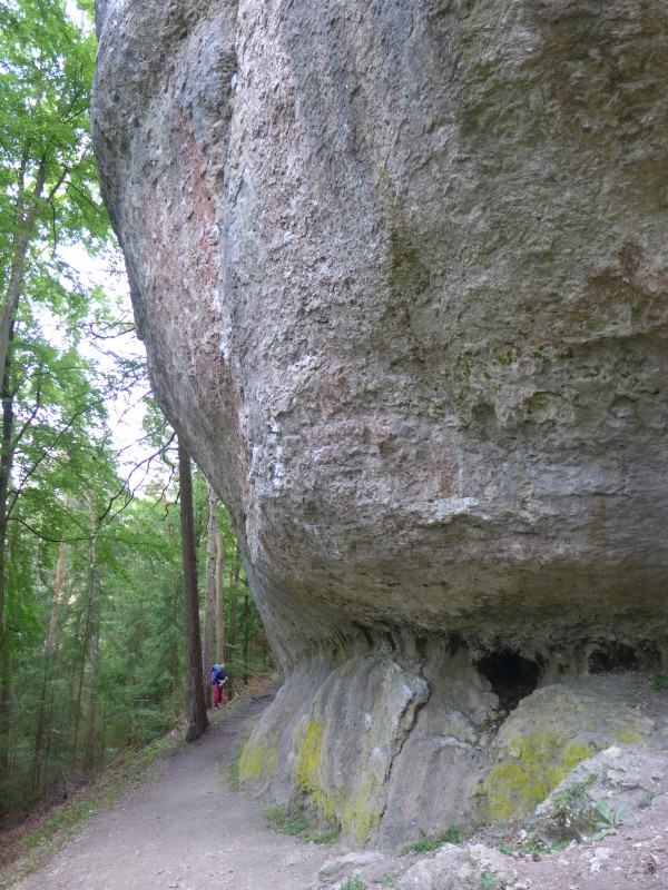 Felsfoto: Grundfels und 690 weitere Felsen im Klettergebiet Fränkische Schweiz (Frankenjura) ➤ Routen mit Schwierigkeitsgraden f&uuml;r den Fels Grundfels ➤ Klettertopo & Kletterf&uuml;hrer ➤ 19.05.2026