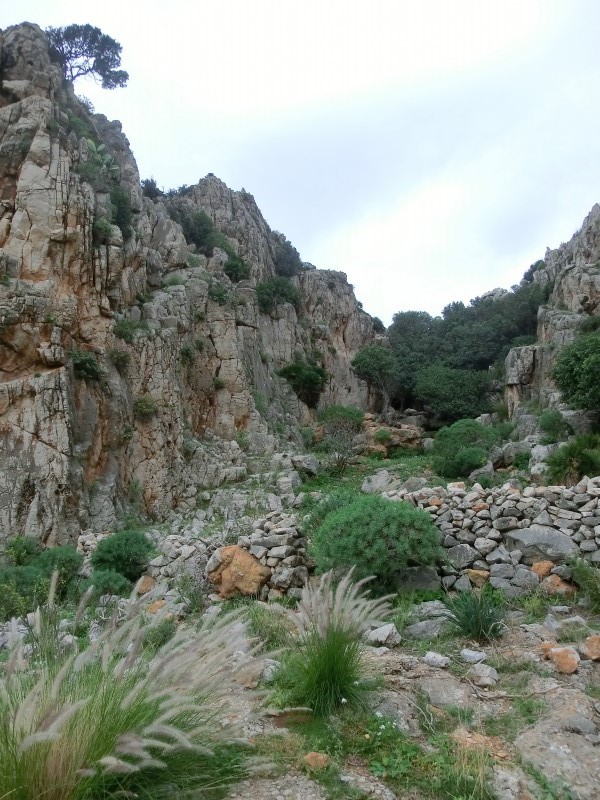 Felsfoto: Il Giardino und 29 weitere Felsen im Klettergebiet San Vito lo Capo ➤ Routen mit Schwierigkeitsgraden f&uuml;r den Fels Il Giardino ➤ Klettertopo & Kletterf&uuml;hrer ➤ 31.08.2026