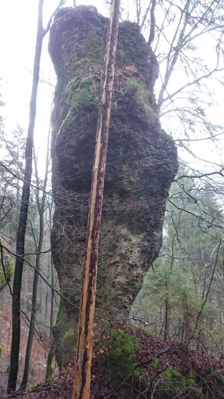 Felsfoto: Püttlachturm und 690 weitere Felsen im Klettergebiet Fränkische Schweiz (Frankenjura) ➤ Routen mit Schwierigkeitsgraden f&uuml;r den Fels Püttlachturm ➤ Klettertopo & Kletterf&uuml;hrer ➤ 19.05.2026