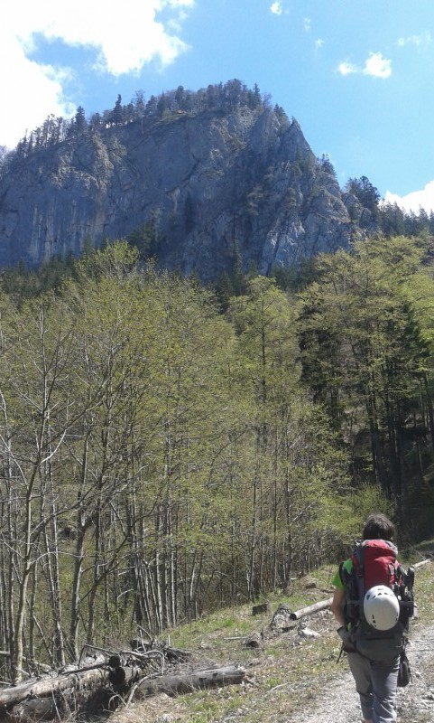 Felsfoto: Hochwand und 29 weitere Felsen im Klettergebiet Chiemgau & Wendelstein ➤ Routen mit Schwierigkeitsgraden f&uuml;r den Fels Hochwand ➤ Klettertopo & Kletterf&uuml;hrer ➤ 18.05.2026