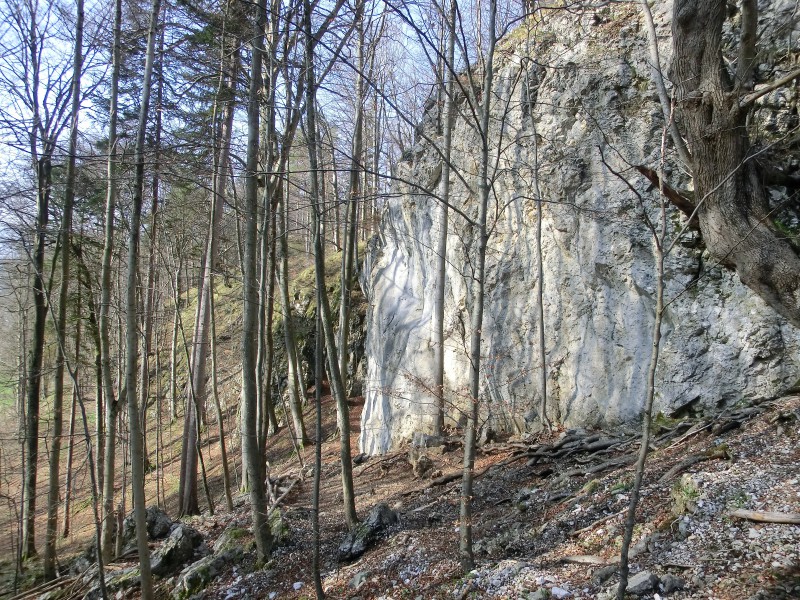 Felsfoto: Untere Seewände und 23 weitere Felsen im Klettergebiet Kochel ➤ Routen mit Schwierigkeitsgraden f&uuml;r den Fels Untere Seewände ➤ Klettertopo & Kletterf&uuml;hrer ➤ 19.05.2026