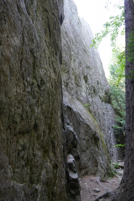 Felsfoto: Finde in der Routendatenbank von Extremklettern.de viele Infos &uuml;ber den Fels Whiskey Jack Wall vom Klettergebiet Squamish ➤ Klettertopo & Kletterf&uuml;hrer ➤ 18.05.2026