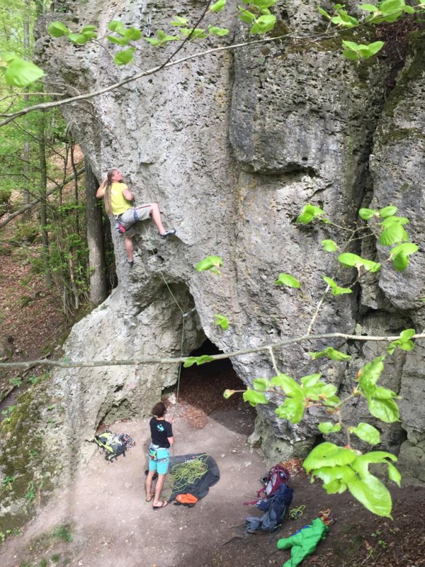 Felsfoto: Sylvesterwand und 690 weitere Felsen im Klettergebiet Fränkische Schweiz (Frankenjura) ➤ Routen mit Schwierigkeitsgraden f&uuml;r den Fels Sylvesterwand ➤ Klettertopo & Kletterf&uuml;hrer ➤ 19.05.2026