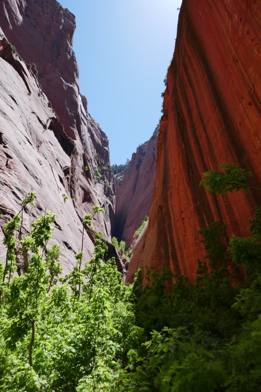 Felsfoto: Finde in der Routendatenbank von Extremklettern.de viele Infos &uuml;ber den Fels Kolob Canyon vom Klettergebiet Utah ➤ Klettertopo & Kletterf&uuml;hrer ➤ 18.05.2026