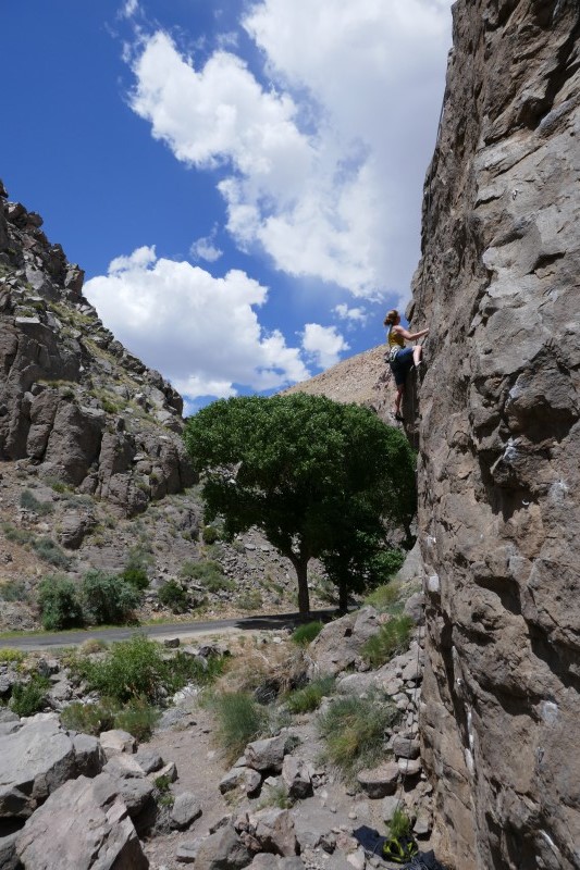 Felsfoto: Owens River Gorge - Pink Face und 32 weitere Felsen im Klettergebiet Bishop ➤ Routen mit Schwierigkeitsgraden f&uuml;r den Fels Owens River Gorge - Pink Face ➤ Klettertopo & Kletterf&uuml;hrer ➤ 18.05.2026